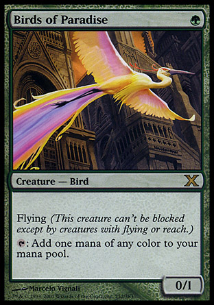 Birds of Paradise | 10th Edition