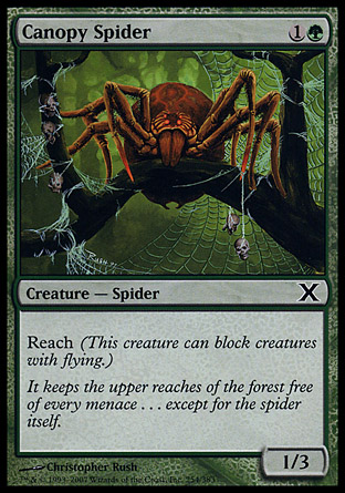 Canopy Spider | 10th Edition