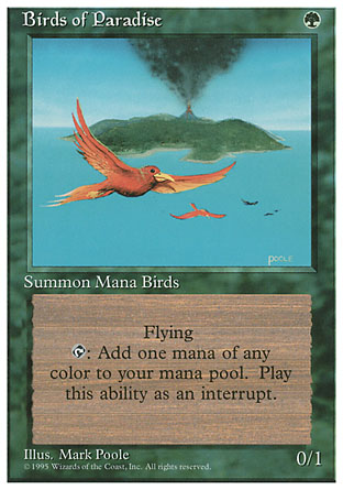 Birds of Paradise | 4th Edition