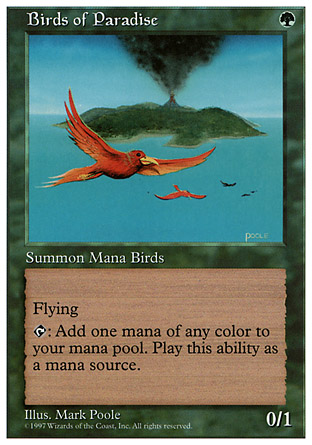 Birds of Paradise | 5th Edition