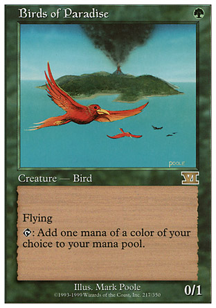 Birds of Paradise | 6th Edition