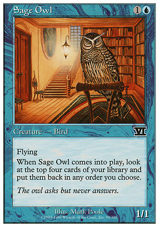 Sage Owl | 6th Edition
