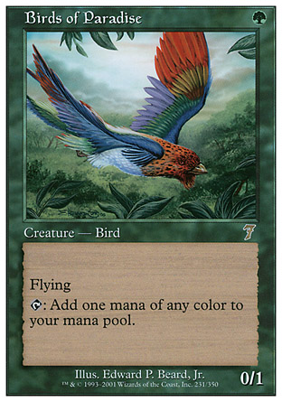 Birds of Paradise | 7th Edition