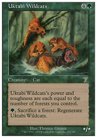 Uktabi Wildcats | 7th Edition