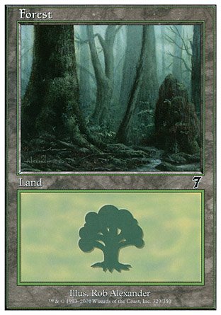 Forest | 7th Edition