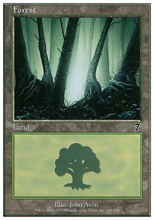 Forest | 7th Edition