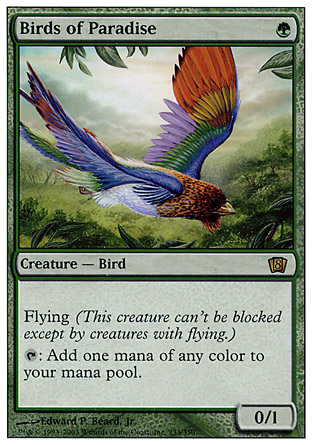 Birds of Paradise | 8th Edition