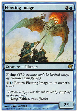 Fleeting Image | 9th Edition