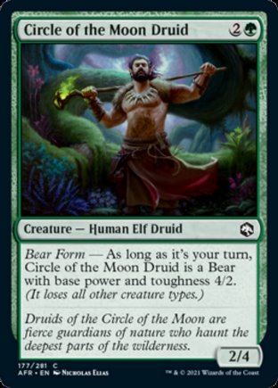Circle of the Moon Druid | Adventures in the Forgotten Realms