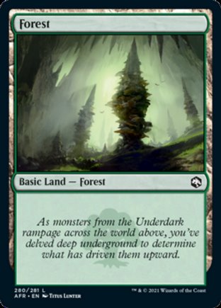 Forest | Adventures in the Forgotten Realms