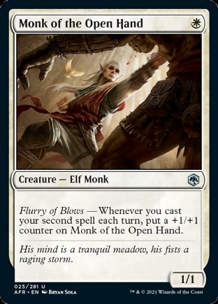 Monk of the Open Hand | Adventures in the Forgotten Realms