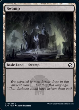 Swamp | Adventures in the Forgotten Realms