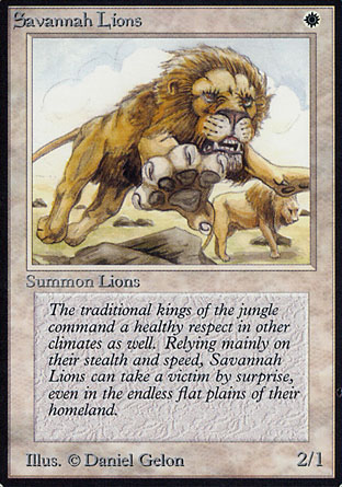 Savannah Lions | Alpha