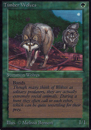 Timber Wolves | Alpha