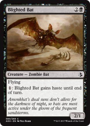 Blighted Bat | Amonkhet