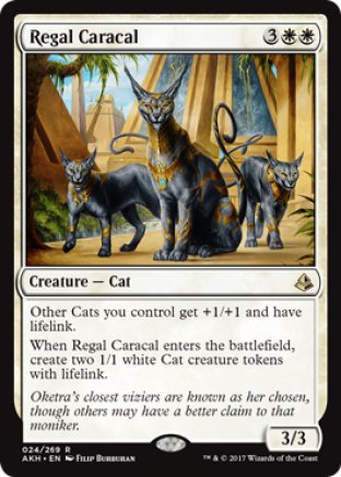 Regal Caracal