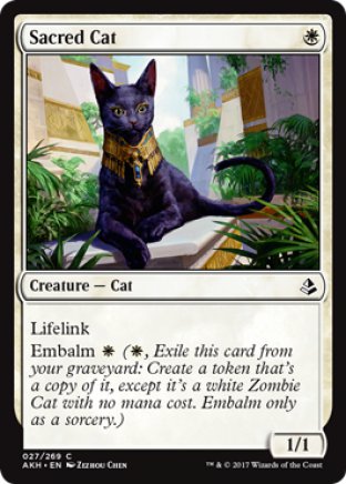 Sacred Cat | Amonkhet