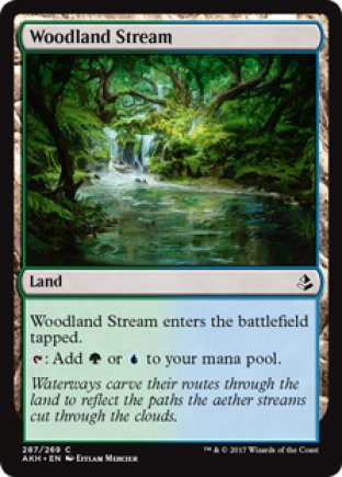 Woodland Stream