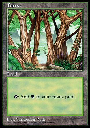 Forest | Apac Land