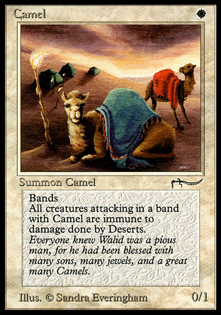 Camel | Arabian Nights