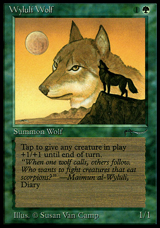 Wyluli Wolf | Arabian Nights