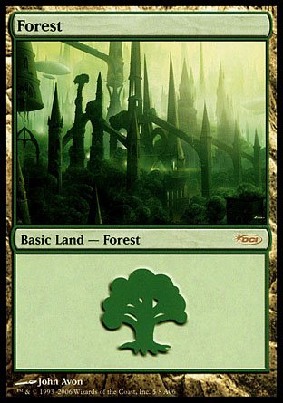 Forest | Arena
