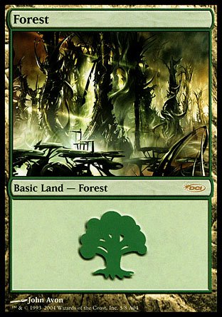 Forest | Arena