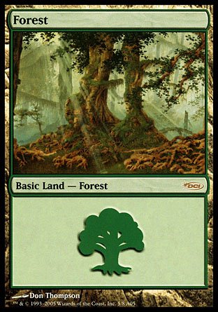 Forest | Arena