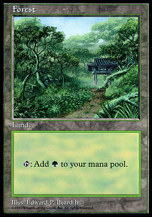 Forest | Apac Land