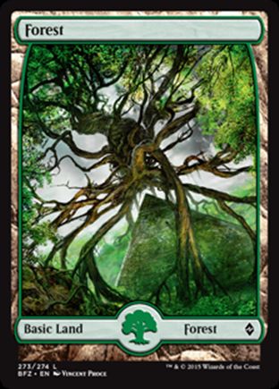 Forest | Battle for Zendikar