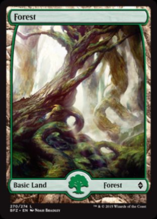 Forest | Battle for Zendikar