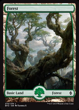 Forest | Battle for Zendikar