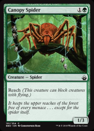Canopy Spider | Battlebond