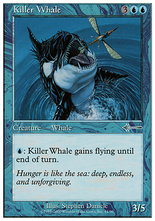 Killer Whale | Beatdown