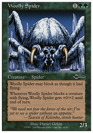 Woolly Spider | Beatdown