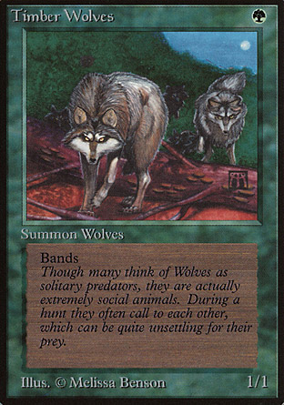 Timber Wolves | Beta