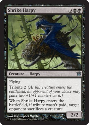 Shrike Harpy | Born of the Gods