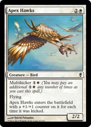 Apex Hawks | Conspiracy
