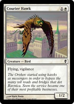 Courier Hawk | Conspiracy