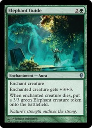 Elephant Guide | Conspiracy