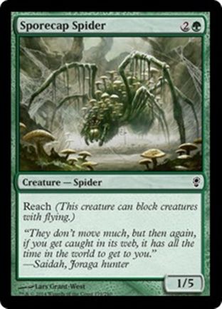 Sporecap Spider | Conspiracy