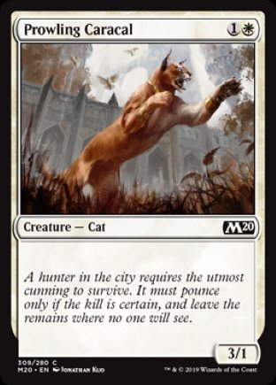 Prowling Caracal | Core Set 2020