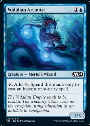 Vodalian Arcanist | Core Set 2021