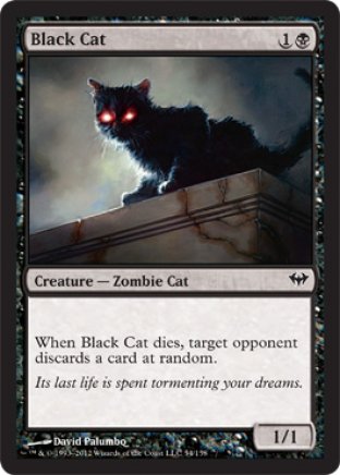 Black Cat | Dark Ascension