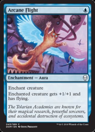 Arcane Flight | Dominaria