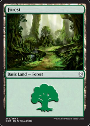 Forest | Dominaria