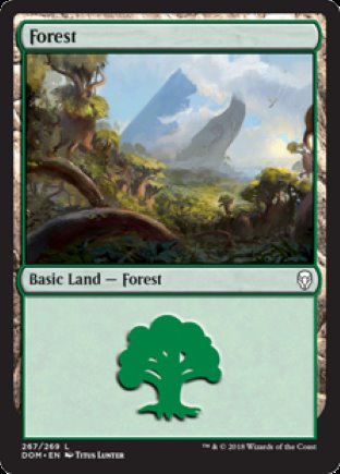 Forest | Dominaria