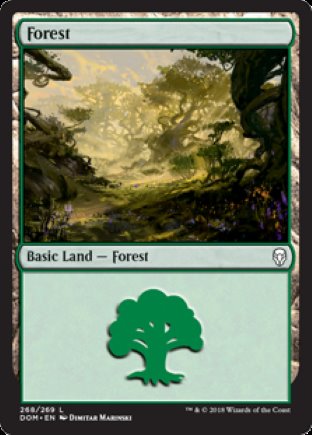 Forest | Dominaria