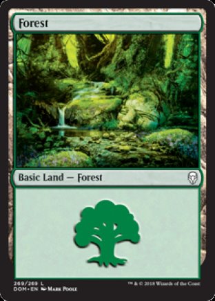 Forest | Dominaria