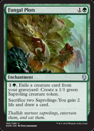 Fungal Plots | Dominaria